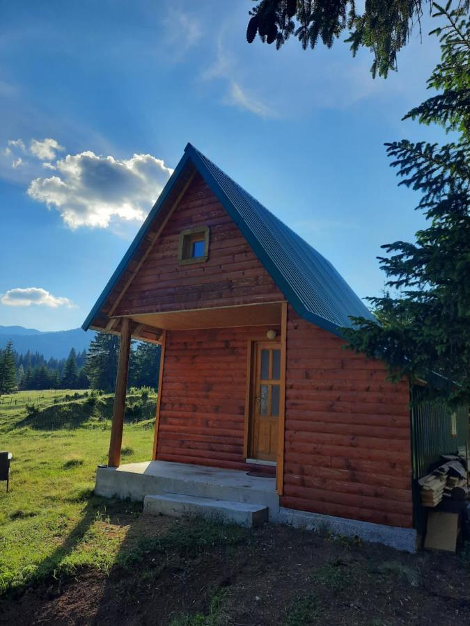 Vila Etno house Momcilo Žabljak Exteriér fotografie