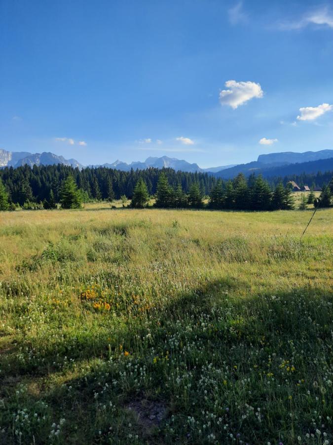Vila Etno house Momcilo Žabljak Exteriér fotografie