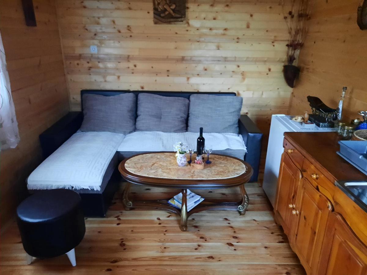 Vila Etno house Momcilo Žabljak Exteriér fotografie
