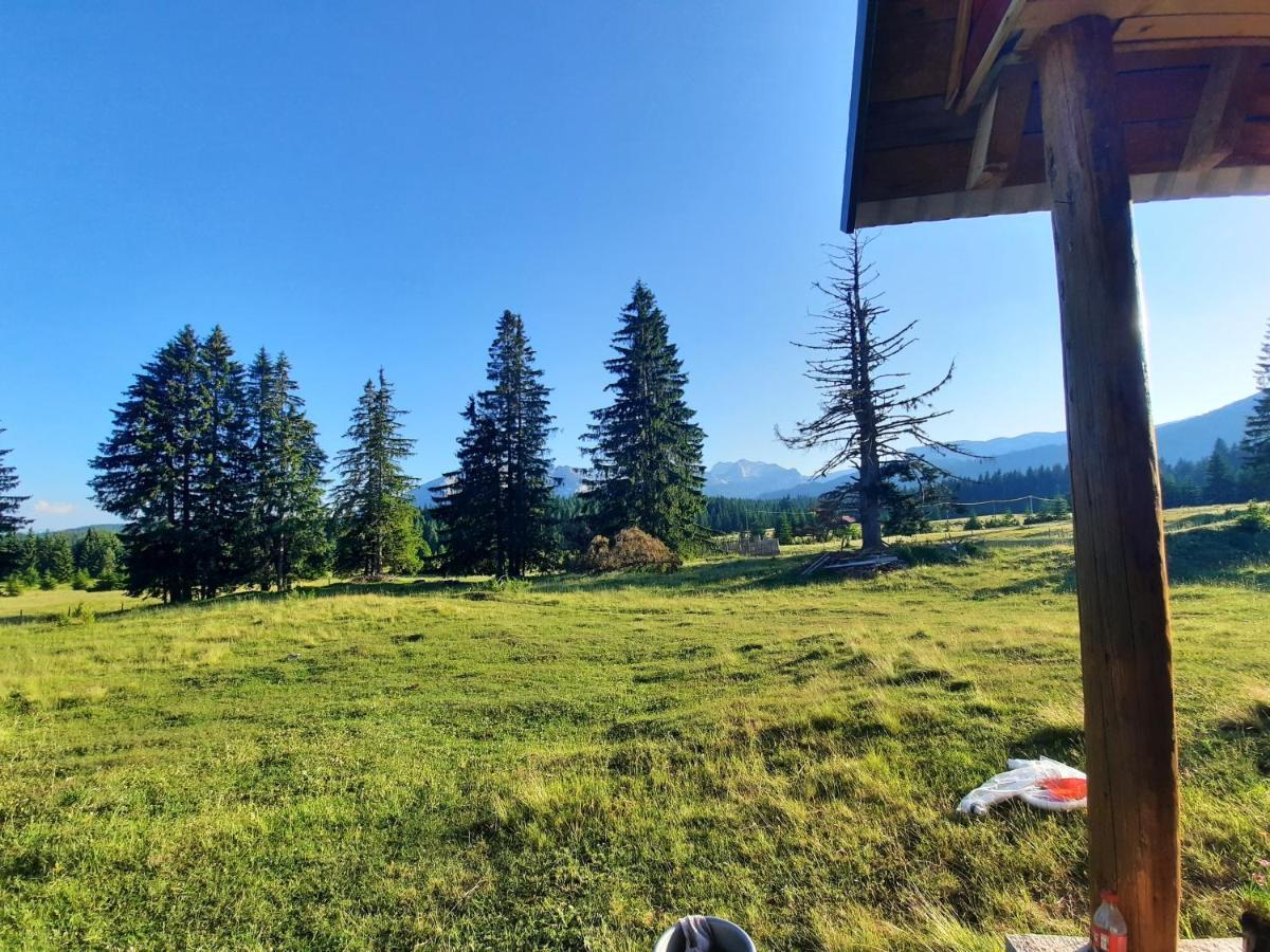 Vila Etno house Momcilo Žabljak Exteriér fotografie