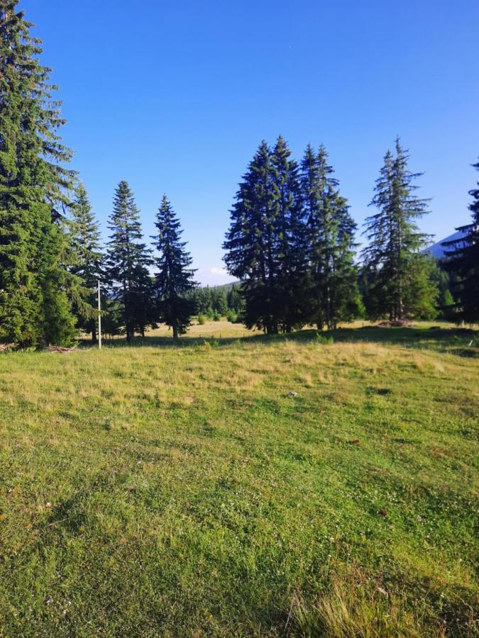 Vila Etno house Momcilo Žabljak Exteriér fotografie