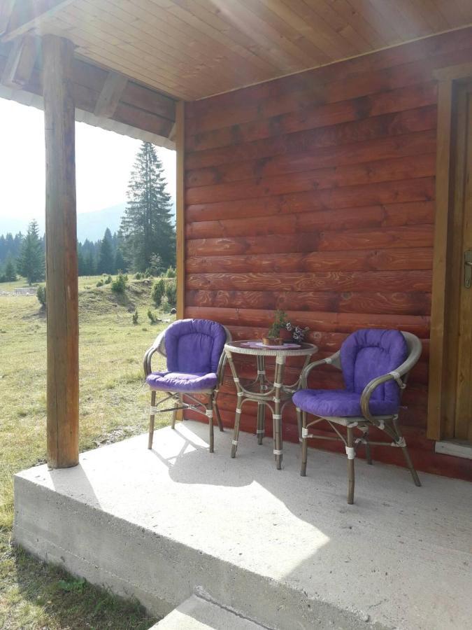 Vila Etno house Momcilo Žabljak Exteriér fotografie