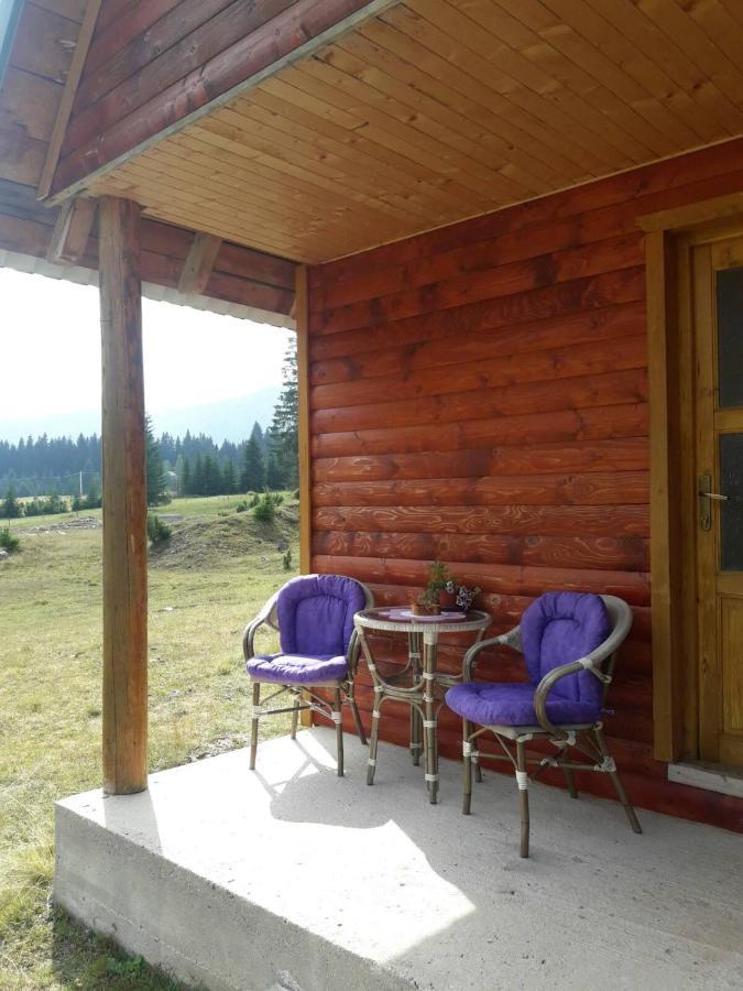 Vila Etno house Momcilo Žabljak Exteriér fotografie